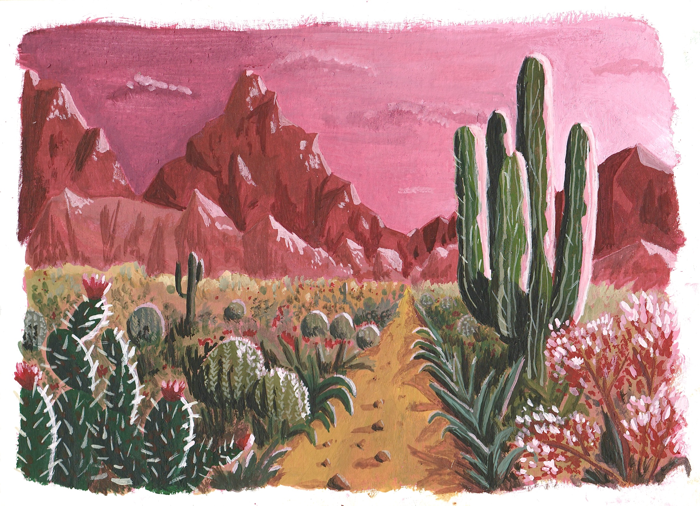 Painted pink desert with cacti and mountains